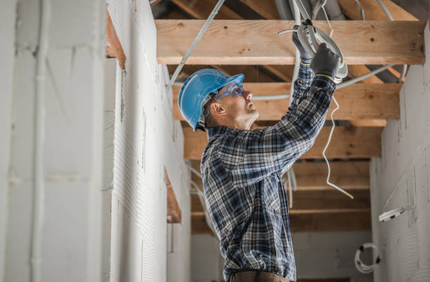 Best Electric Panel Repair  in Marion, IL
